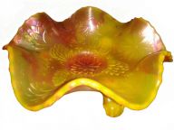 Water Lily
